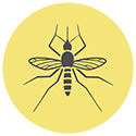 sandfly-icon.png sandfly-icon.png
