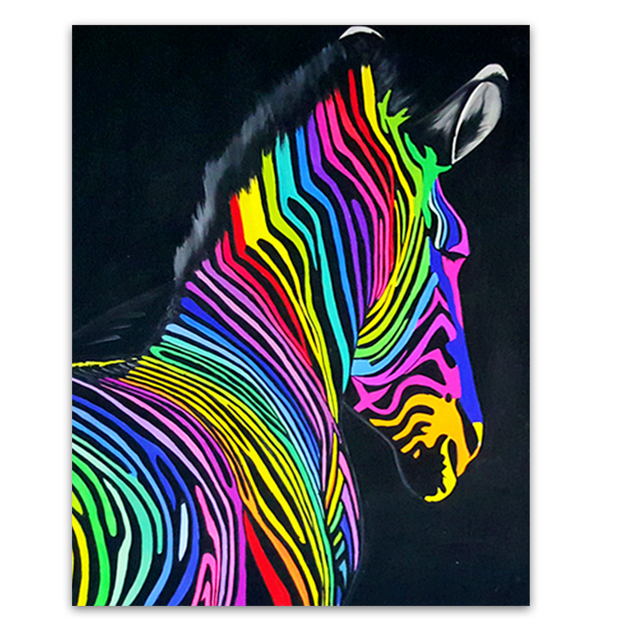 Buy Colourful Hand Painted Zebra Pop Art Online Melbourne