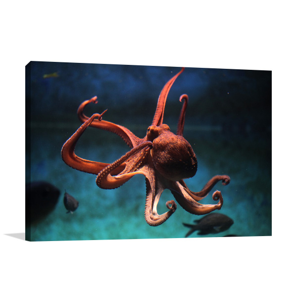 Octopus Art Print In Framed Wall Pictures For Living Room