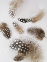 Guinea Plumage Craft Feathers NATURAL per half ounce Guinea Plumage Craft Feathers NATURAL per half ounce