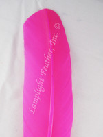 Turkey Feathers, wing rounds, dyed Hot Pink, per DOZEN Turkey Feathers, wing rounds, dyed Hot Pink, per DOZEN