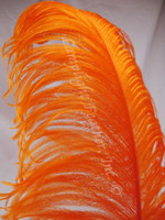 Orange Ostrich Feather Plume Premium Large 22-28 inch per Each (owpora) Orange Ostrich Feather Plume Premium Large 22-28 inch per Each (owpora)