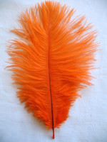 Orange Ostrich Feathers Orange Ostrich Feathers