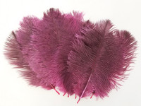 Dark Fuchsia Mini Ostrich Feathers 5-8 Inch per Dozen Dark Fuchsia Mini Ostrich Feathers 5-8 Inch per Dozen