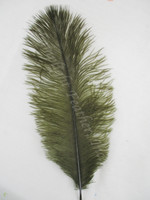 Moss Green Mini Ostrich Feathers 5-8 Inch per Dozen Moss Green Mini Ostrich Feathers 5-8 Inch per Dozen