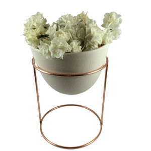 Ivy Muse - Nest Range
Copper Plated Stand with Peach Eggshell Pot Ivy Muse - Nest Range
Copper Plated Stand with Peach Eggshell Pot