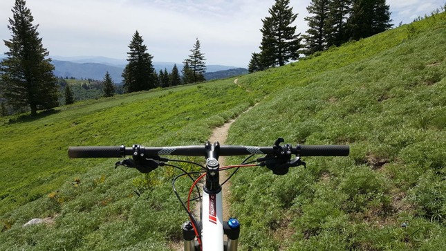 4 Pro Tips Every Beginner Mountain Biker Needs to Know