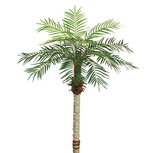 Fake Palm Plants | Phoenix Palm Trees for Sale