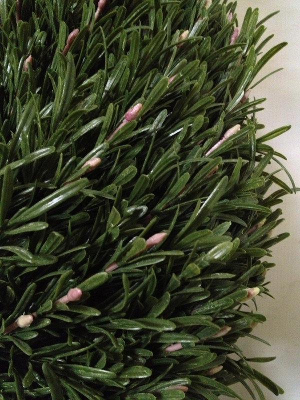 5' Artificial Rosemary Topiary Trees Synthetic Rosemary Spirals