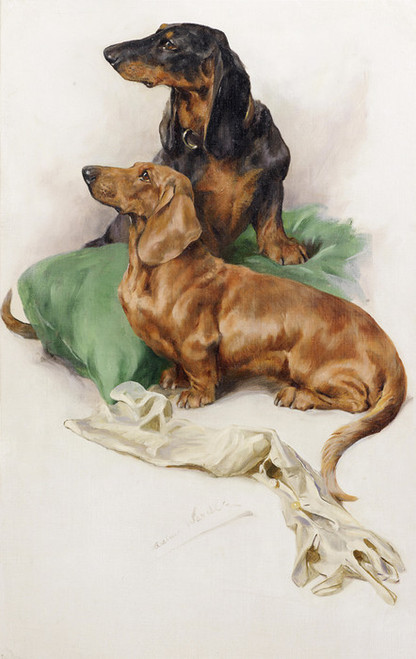 Art Prints of The Dachshunds by Arthur Wardle