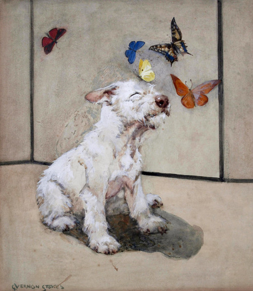 Art Prints of White Terrier & Butterflies by Vernon Stokes