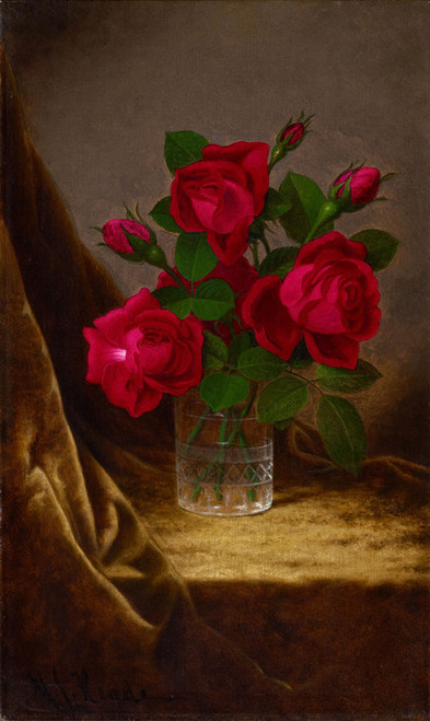 Art Prints of Jacqueminot Roses by Martin Johnson Heade