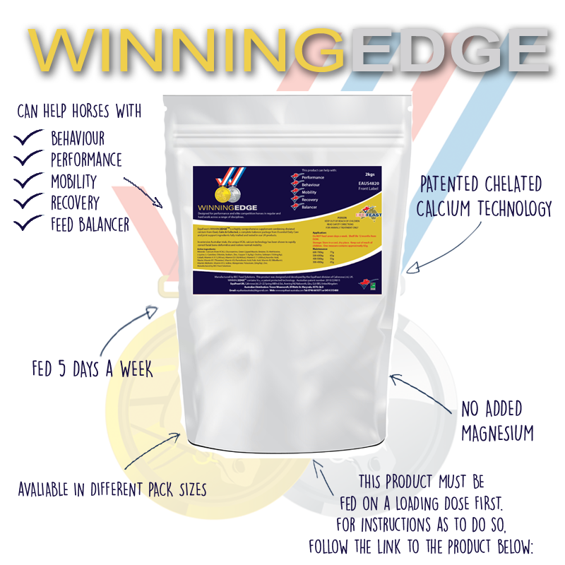 winningedge-info-shee4t.png