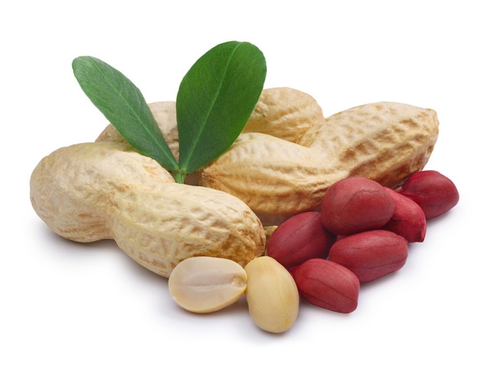 Blanched Peanuts or Unblanched Peanuts- What’s the Difference?