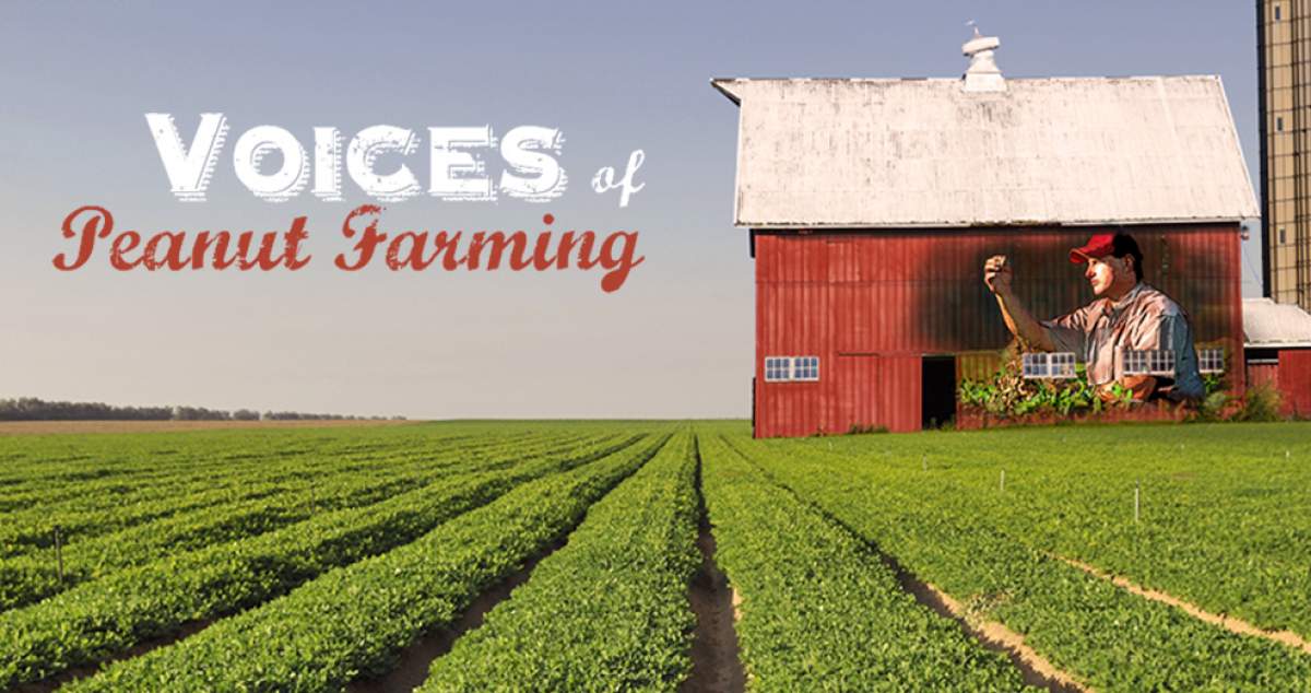 peanut farm virgnia