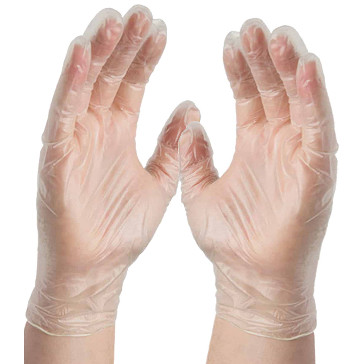 Latex Free Gloves Disposable Vinyl Gloves