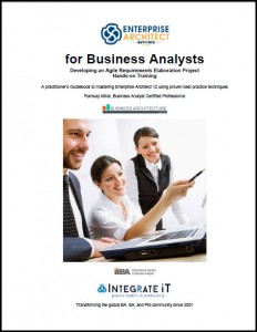 Business Analysts