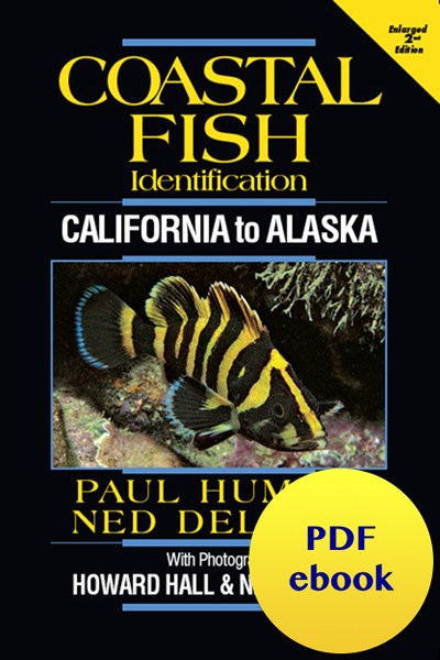 fish-cover-ebook-california.jpg fish-cover-ebook-california.jpg
