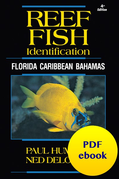 fish-cover-ebook-caribbean.jpg fish-cover-ebook-caribbean.jpg