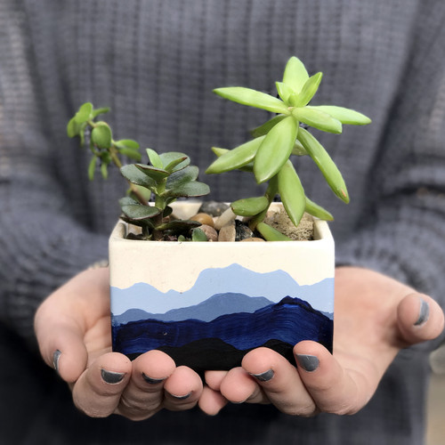 Mountain Range Hand Painted Succulent Planter