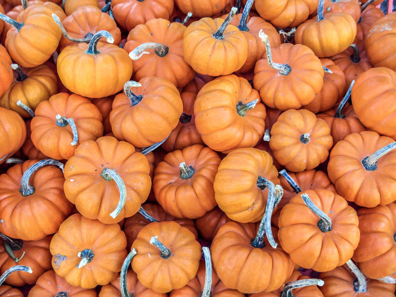 10 Literary Quotes for October