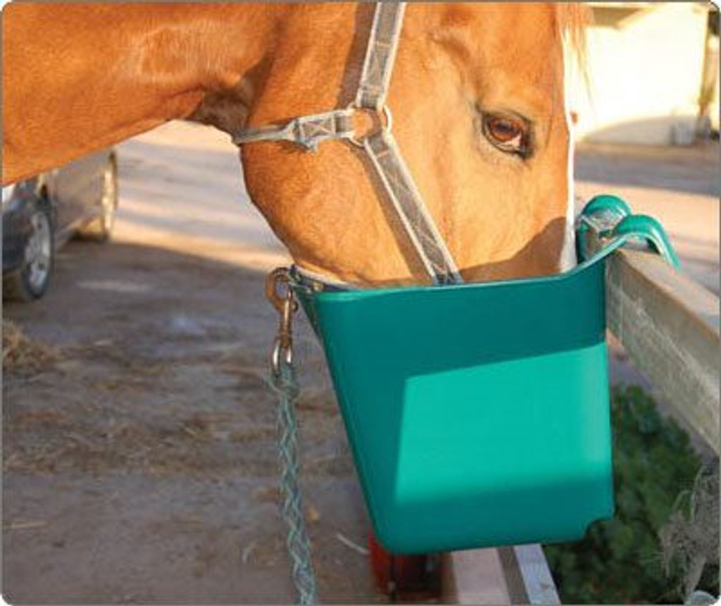 Plastic hang on trough feeder
