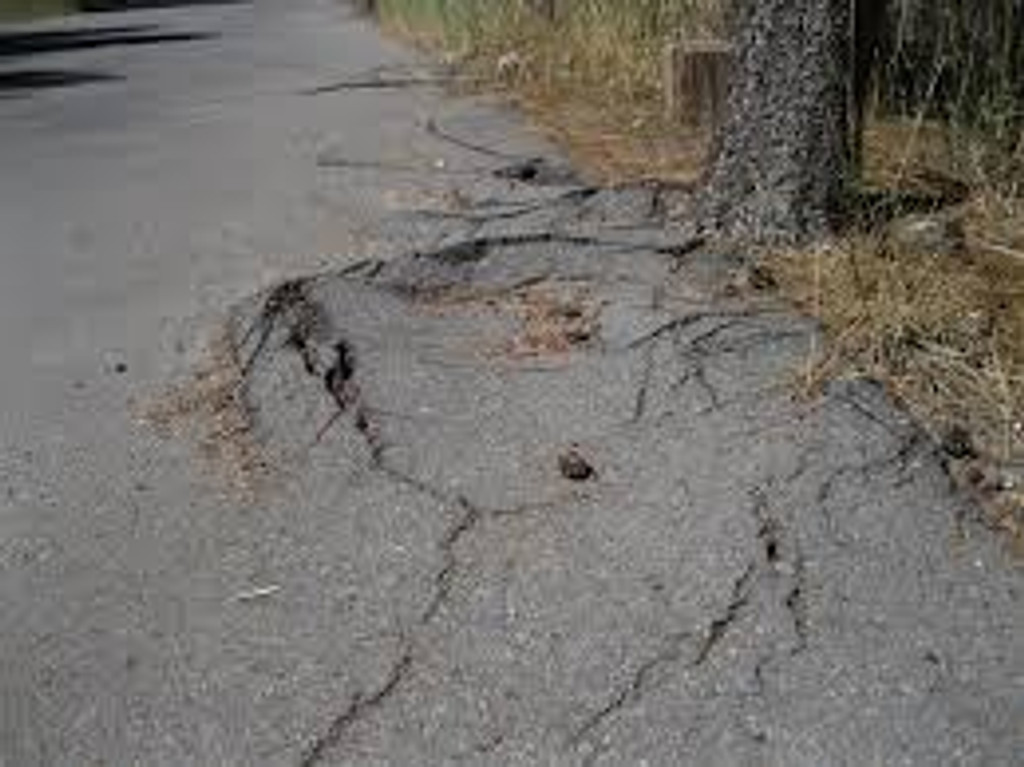 Avoid damage of foundations , Install and get control.