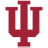 Indiana Hoosiers Panoramic Fan Cave Decor