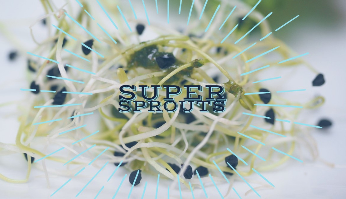 Super Sprouts Super Sprouts