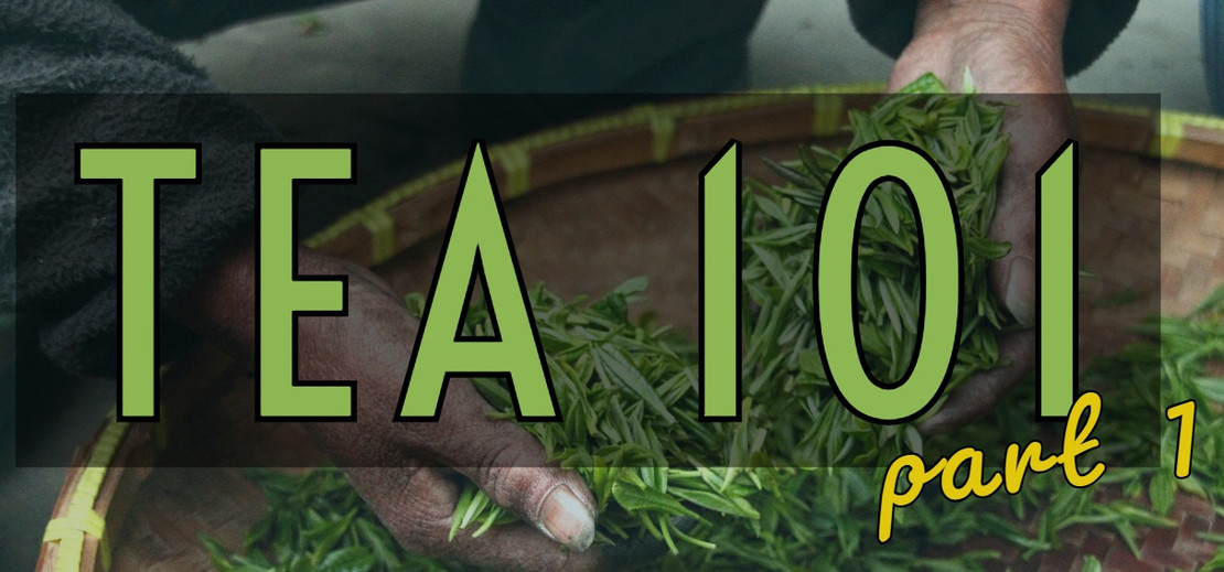 Tea 101 Tea 101