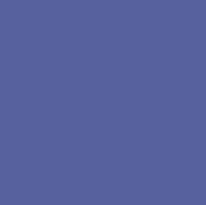 purple orchid