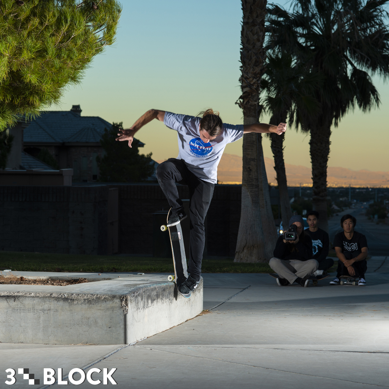 Revive Skateboards, Decks, Apparel and Accessories Revive Skateboards