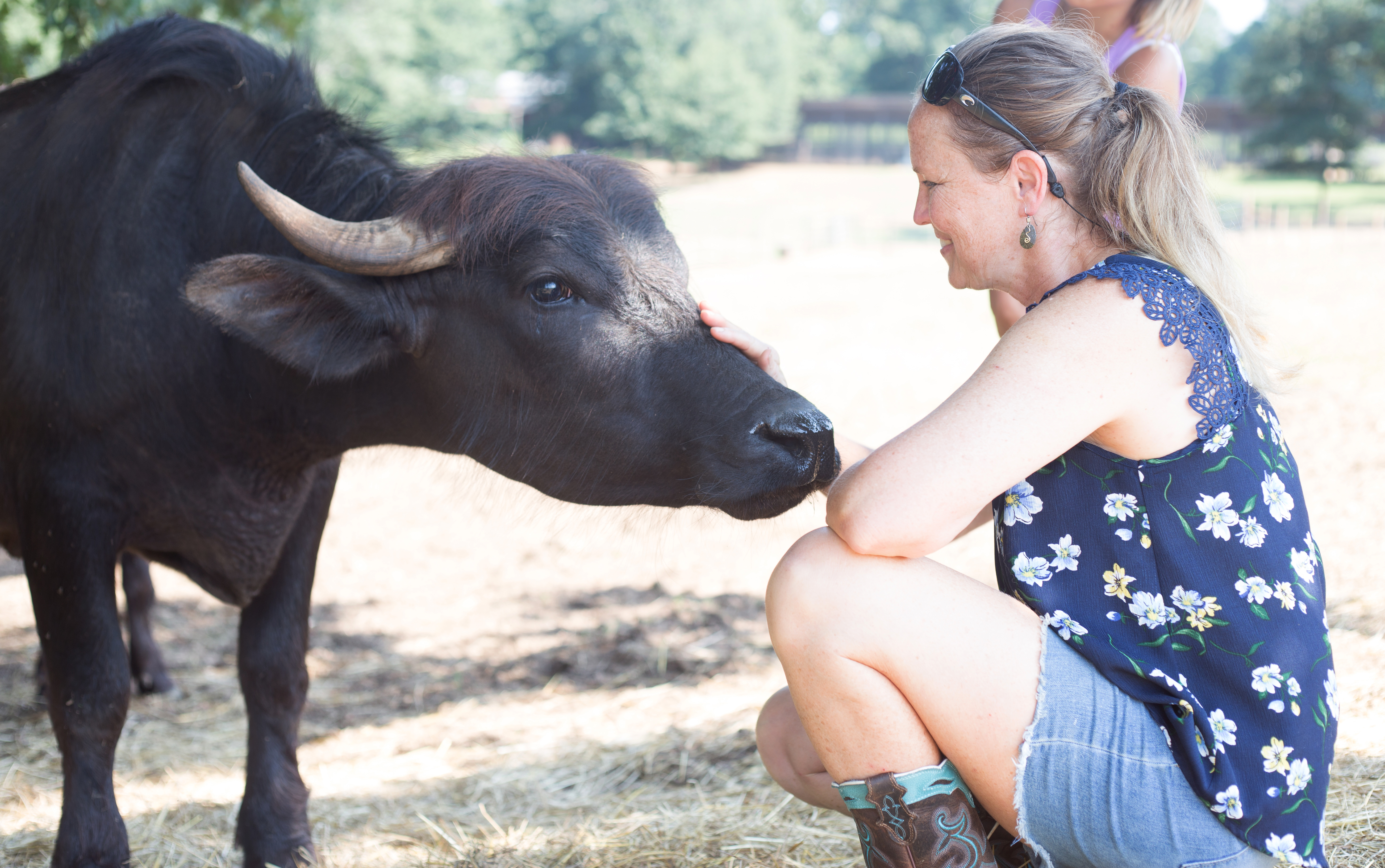 buffalo-gal-tallow-sourcing.jpg