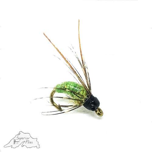 Clear Creek Caddis Pupa - Green Clear Creek Caddis Pupa - Green