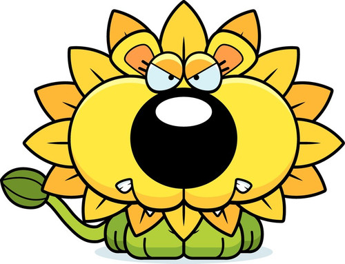 Anger Management Flower Essence