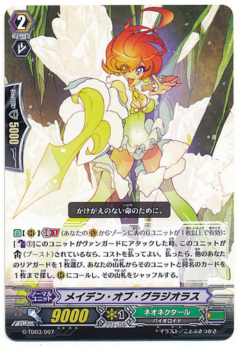 Maiden of Gladiolus G-TD03/007