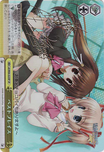 Best Place LB/W06-023SP SP