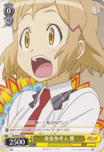 Hibiki, Important Person of Interest SG/W19-014