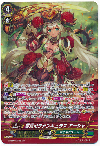Dream-spinning Ranunculus, Ahsha SP G-BT04/S08