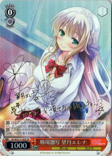 Elena Mochizuki, Fierce Shots on the Battlefield GF/W33-T18SP SP