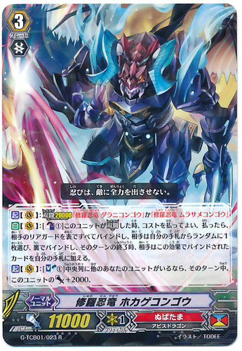 Shura Stealth Dragon, Hokagecongo R G-TCB01/023