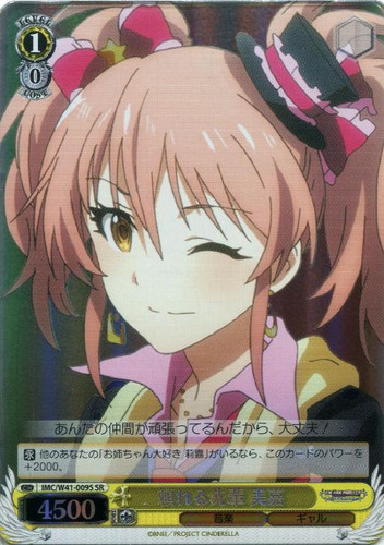 Mika, Reliable Senior IMC/W41-009S SR