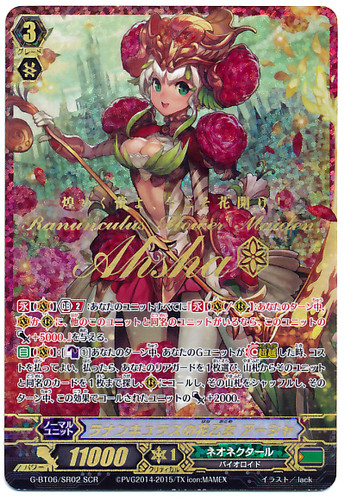 Ranunculus Flower Maiden, Ahsha SCR G-BT06/SR02