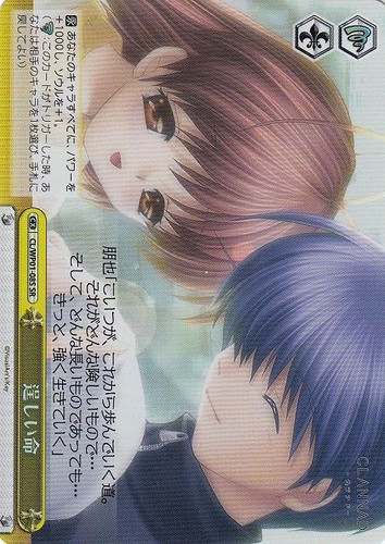 Strong Life CL/WP01/08S SR