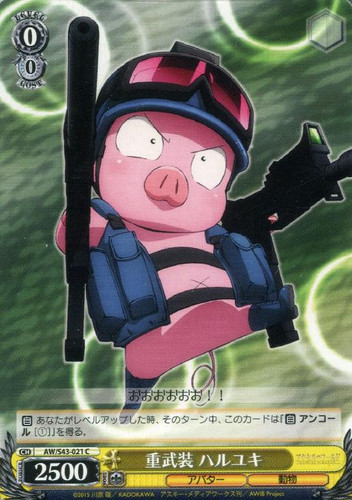 Haruyuki, Heavily Armed AW/S43/021 C