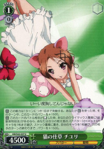 Chiyuri, Behaving Like a Cat AW/S43/037 U