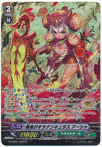 Ranunculus of Searing Heart, Ahsha G-CHB01/S05 SP