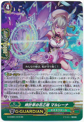 Passiflora Flower Princess, Marleena G-CHB01/019 RR