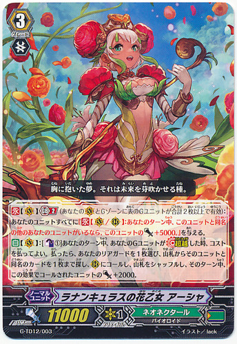 Ranunculus Flower Maiden, Ahsha G-TD12/003