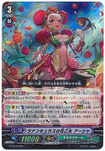 Ranunculus Flower Maiden, Ahsha G-TD12/003 RRR